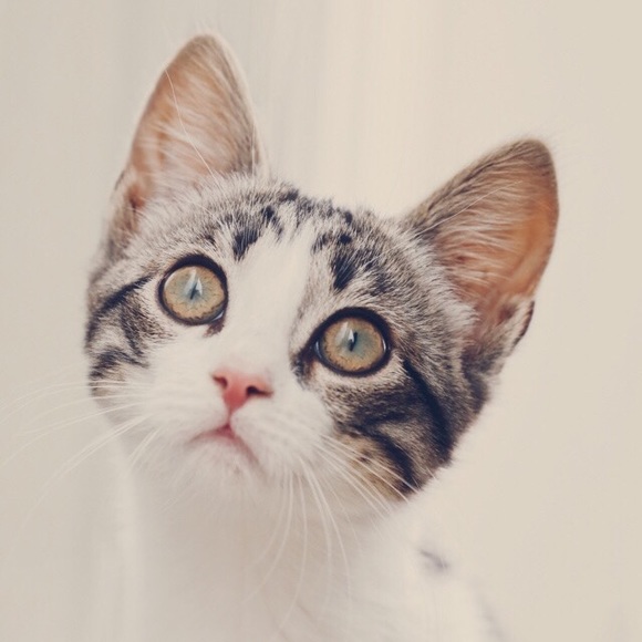 Meet your Posher, Susan - Picture 2 of 3